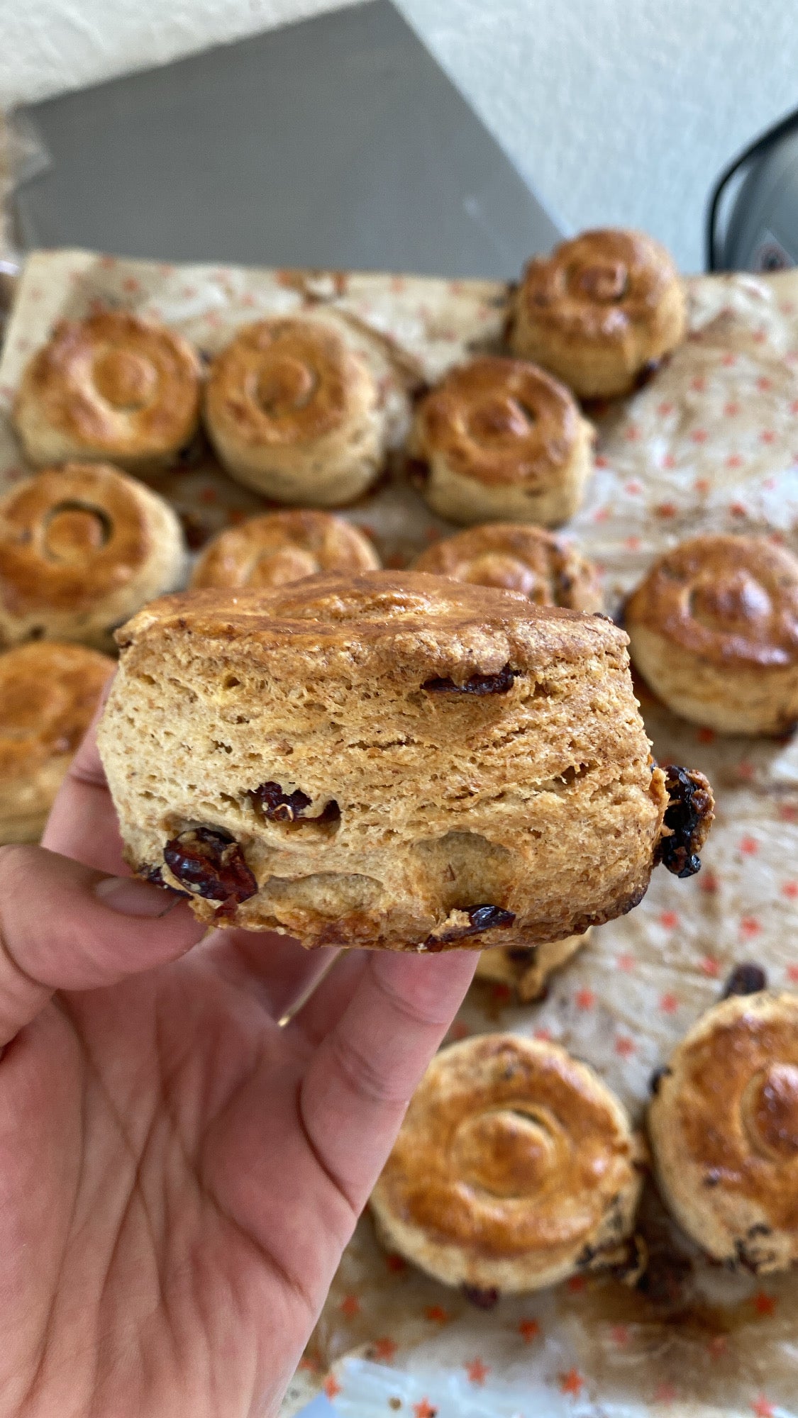 Bisquet de Arándanos