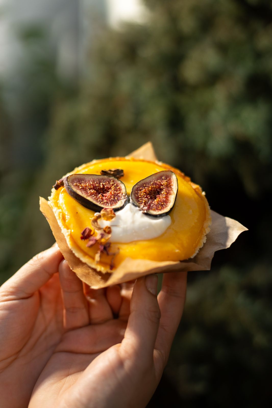 Cheesecake de Kéfir