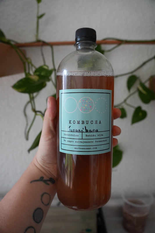 Kombucha de Kéfir (1 L)