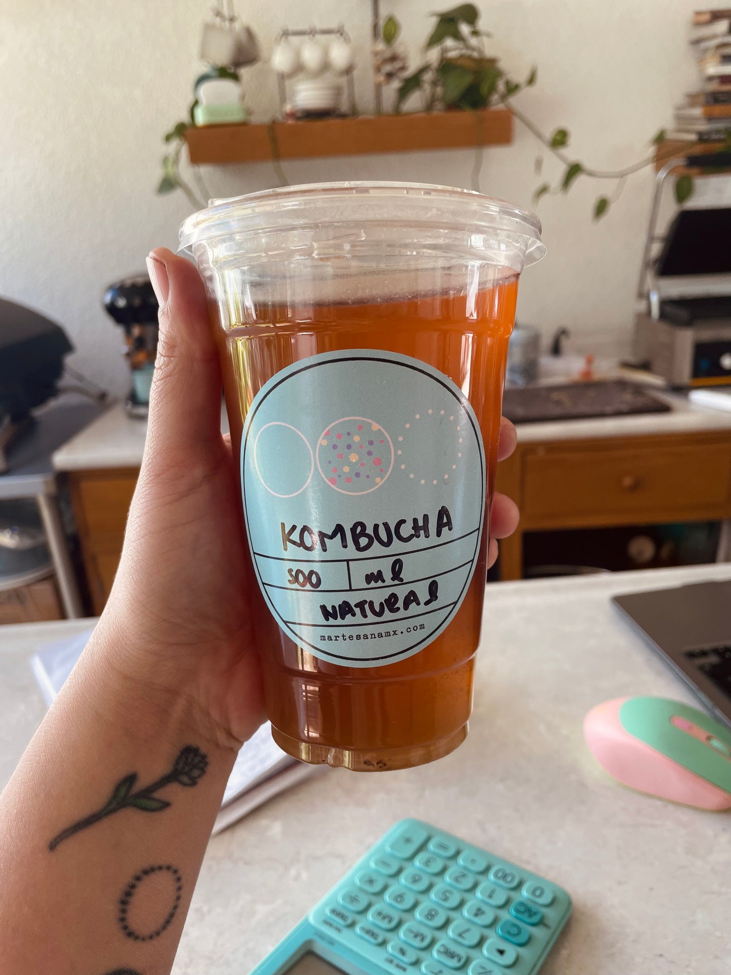 Kombucha de Kéfir (500 mL)