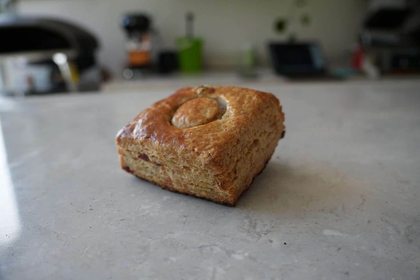 Bisquet de Arándanos
