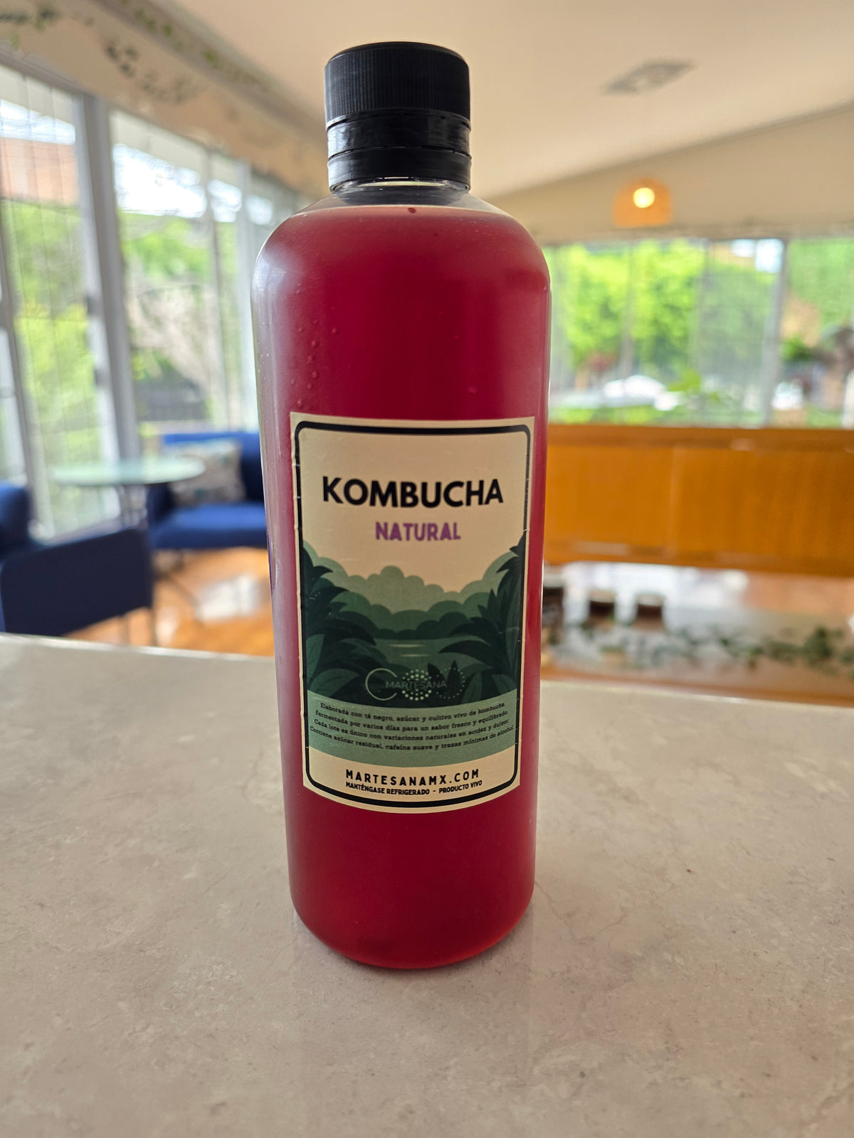 Kombucha (500 mL)