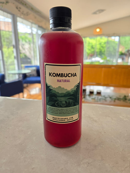 Kombucha (500 mL)