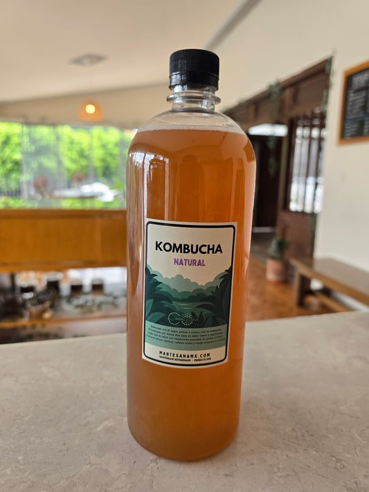 Kombucha (1 L)